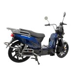 electric vehicles ladyboy head bumblebee front pocket lead-acid battery/lithium battery electric vehicles